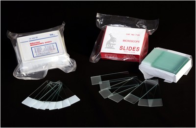 Microscope Slides