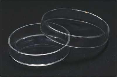 1117, Petri Dish, Borosilicate Glass