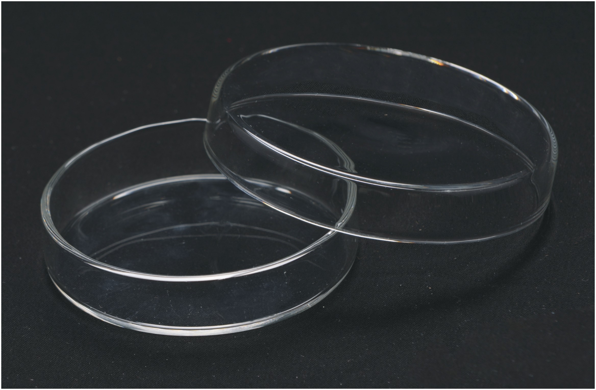 1117, Petri Dish, Borosilicate Glass