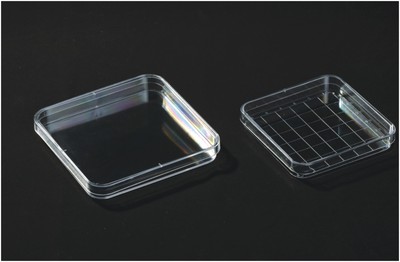 Square Petri Dish, GPPS Material