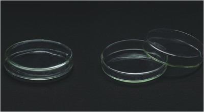 1117, Petri Dish, Neutral Glass