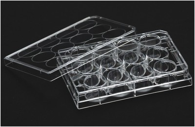 Tissue Culture Plate, GPPS Material