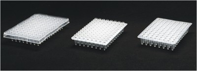 96Well PCR Plate